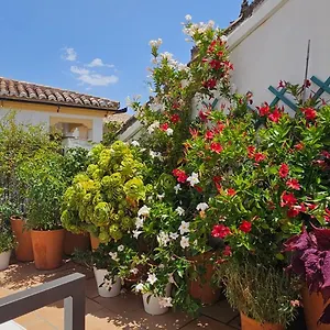  Apartment Descalzos Angel With Private Terrace Free Parking Spain